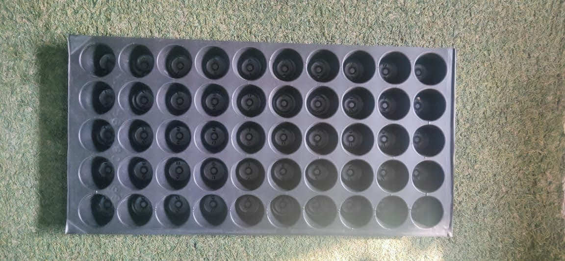 Seedling Tray